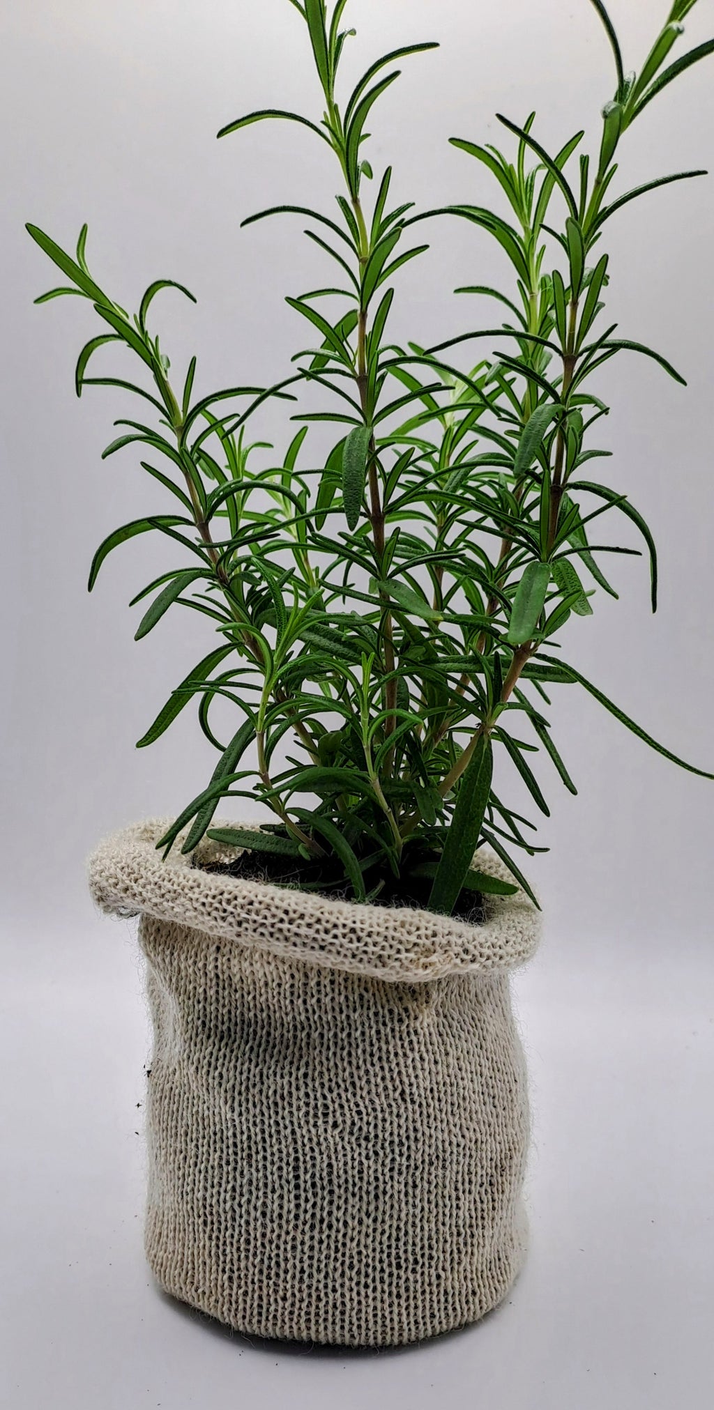 30 pots — $56.00 ⭐ Best value For the serious grower Our best per-pot price at just $1.87 each. Perfect if you're growing a lot, gifting to a fellow gardener, or you already know you'll be back for more.
