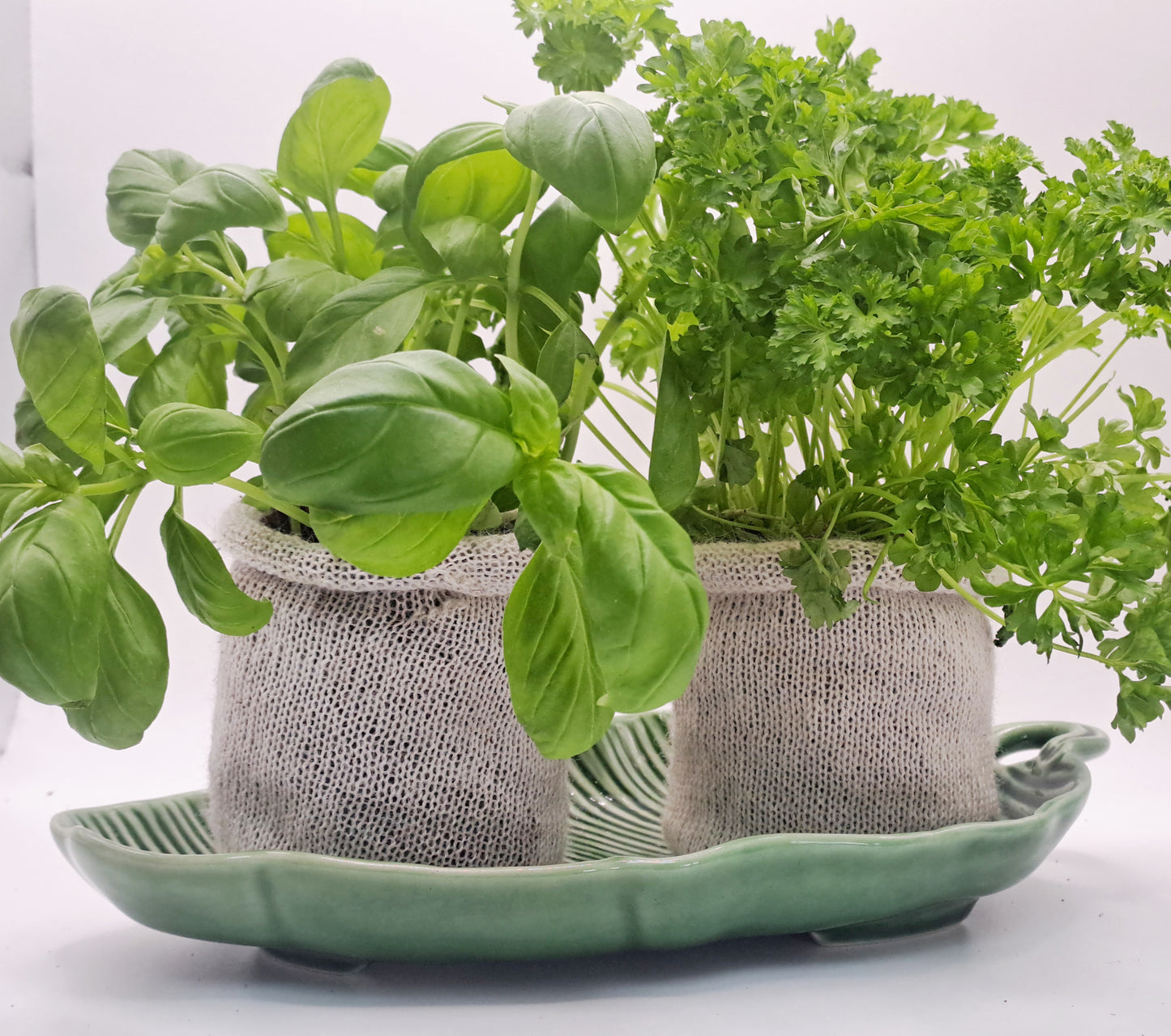 20 wool pots - Eco-Friendly - wool pots - Biodegradable